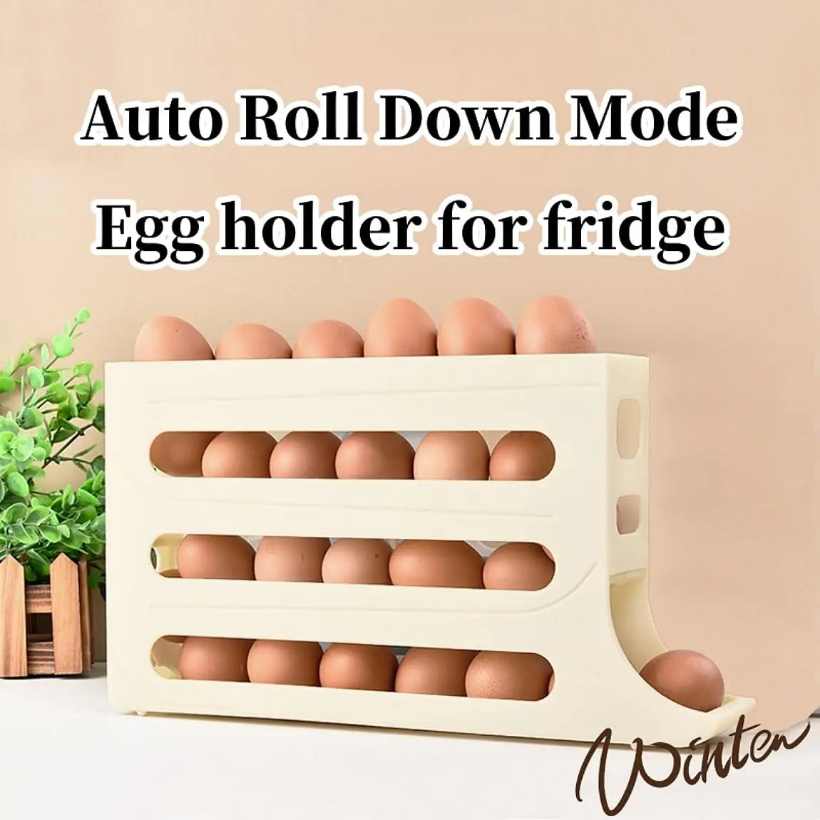 Refrigerator Egg Storage Box